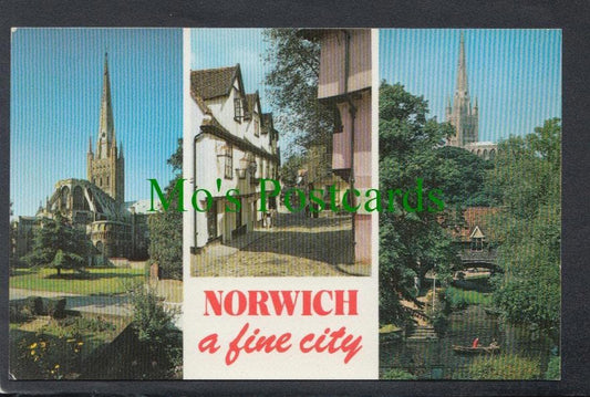 Norfolk Postcard - Norwich a Fine City  SW4588