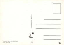 Load image into Gallery viewer, Belgium Postcard - Aerial View of Abbaye Notre-Dame d'Orval, Florenville  RRR341
