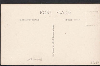 Somerset Postcard - Cheddar, Gough's Cave, Electricalli Illuminated    RS232