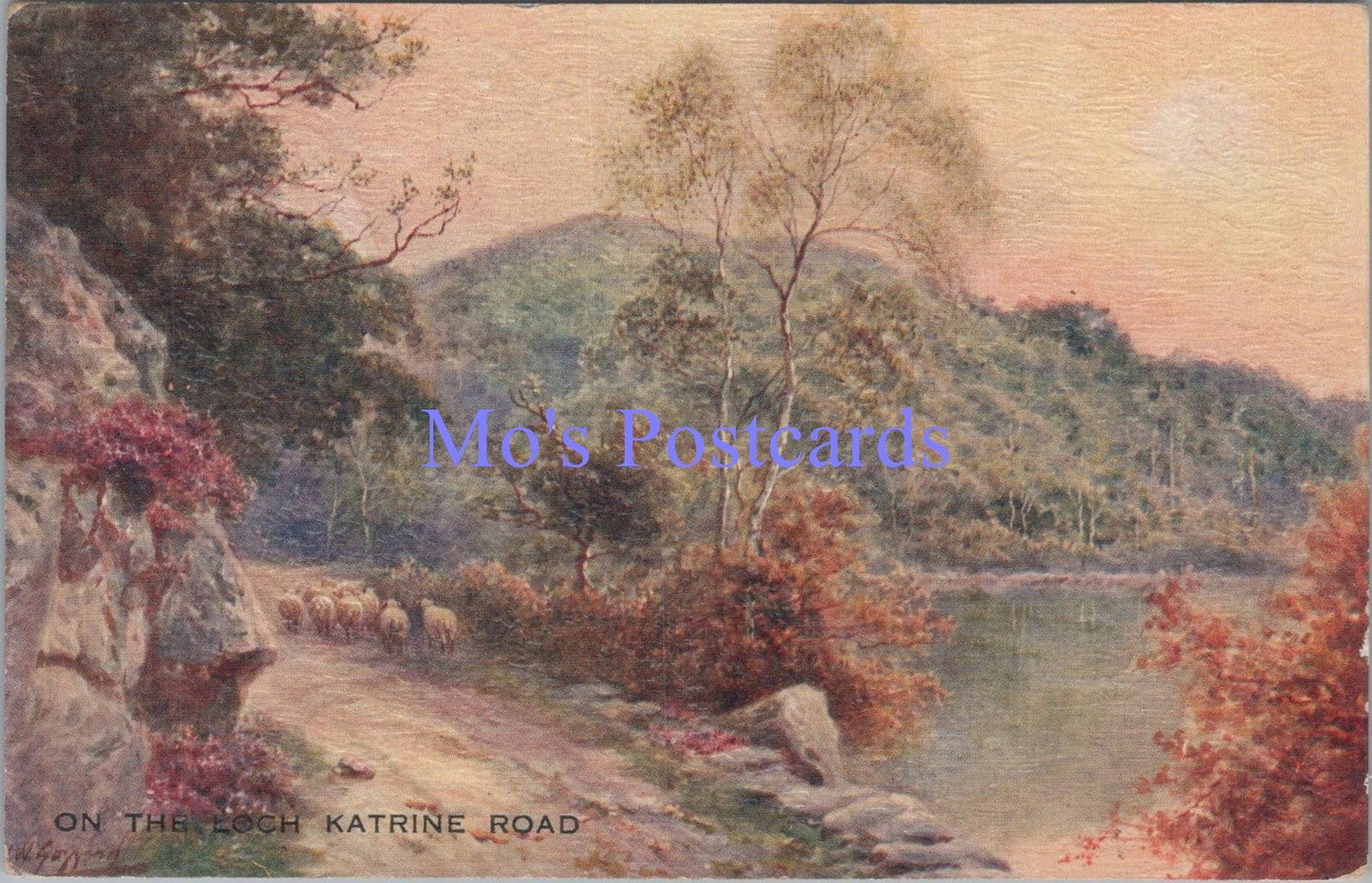 Scotland Postcard - On The Loch Katrine Road, Sheep, Artist View  DC2043