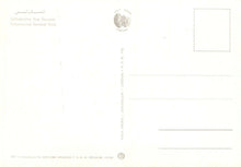 Load image into Gallery viewer, Jordan Postcard - Lithostrotos General View    RRR54

