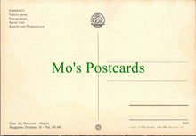 Load image into Gallery viewer, Italy Postcard - Aerial View of Sorrento RRR1100
