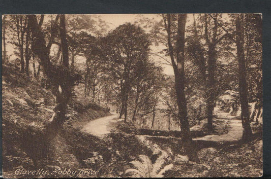 Devon Postcard - Clovelly, Hobby Drive      RS10067