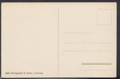 Switzerland Postcard - Ducks on Interlaken - Am Thunersee      RS10083