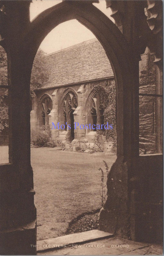 Oxfordshire Postcard - Oxford, The Cloisters, New College   DC2327