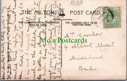 Isle of Wight Postcard - Steephill Cove Near Ventnor   DC1528