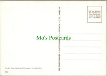 Load image into Gallery viewer, Nature Postcard - Australian National Flowers   RRR1149
