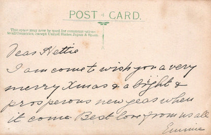 Old Real Photo Postcard Edwardian Portrait Woman Stripe Pattern Blouse RS22480