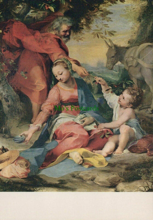 Art Postcard- Citta Del Vaticano-Pinacoteca-The Madonna of The Cherries RR10113