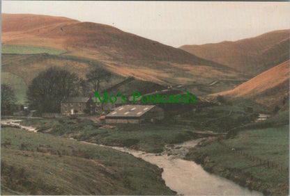 Northumberland Postcard -River Coquet and Uswayburn at Shillmoor  RR11235