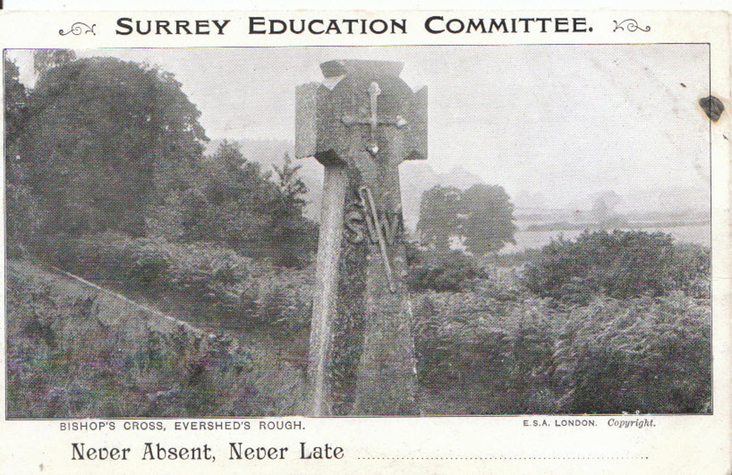 Surrey Postcard: Bishop's Cross Memorial, Evershed's Rough, nr Dorking 3362A