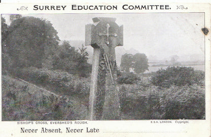 Surrey Postcard: Bishop's Cross Memorial, Evershed's Rough, nr Dorking 3362A