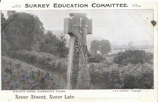 Surrey Postcard: Bishop's Cross Memorial, Evershed's Rough, nr Dorking 3362A