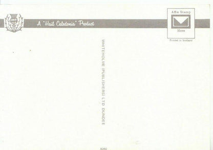 Scotland Postcard - St Mary's Loch, Heart of The Scottish Borders   ZZ5583