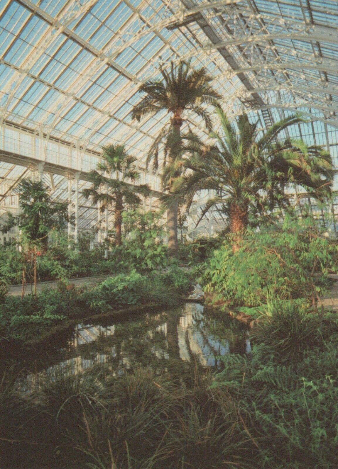 London Postcard - Temperate House, Royal Botanic Gardens, Kew    RRR276
