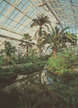 Load image into Gallery viewer, London Postcard - Temperate House, Royal Botanic Gardens, Kew    RRR276
