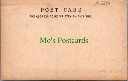 Sussex Postcard - Bodiam Castle, Nr Robertsbridge  DC2640