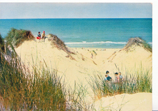 France Postcard - Couleurs Et Lumiere De France, Dans Les Dunes    SM111