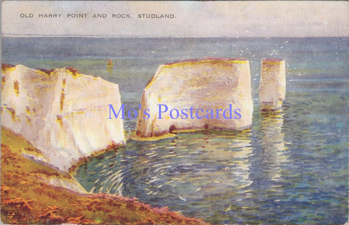 Dorset Postcard - Studland, Old Harry Point and Rock   DC2153