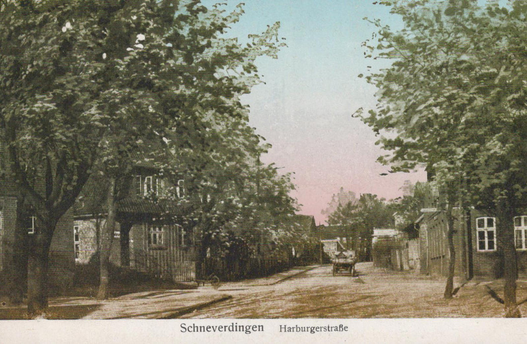 Germany Postcard - Schneverdingen Harburgerstrasse, Lower Saxony  XT41