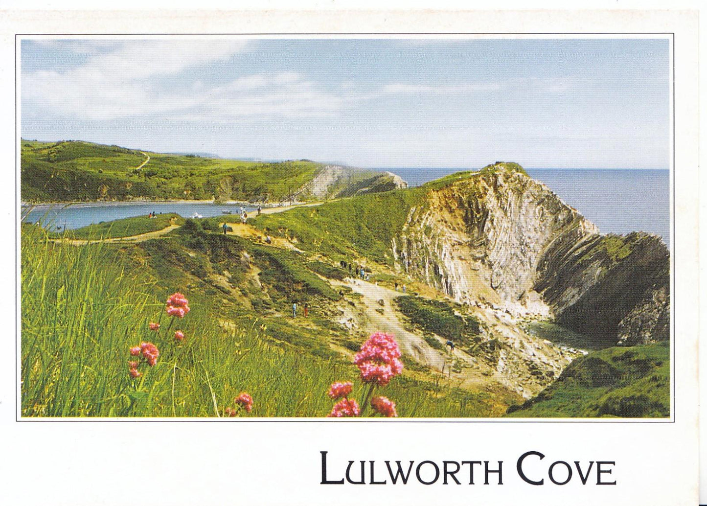 Dorset Postcard - Lulworth Cove    SM255