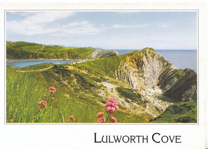 Dorset Postcard - Lulworth Cove    SM255