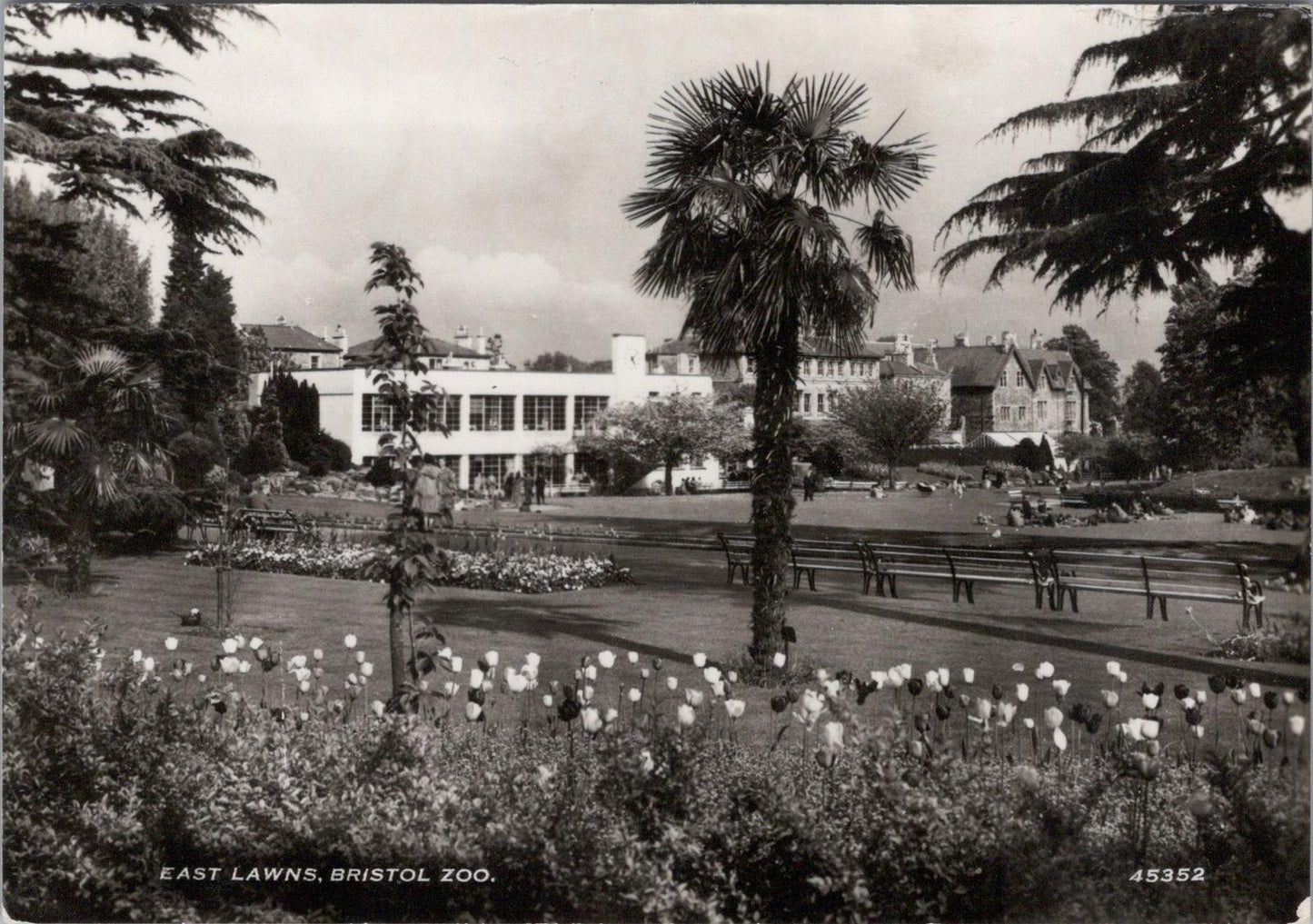 Bristol Postcard: East Lawns, Bristol Zoo Gardens Clifton 1950s  RR15570