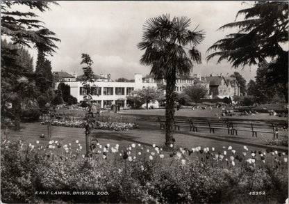 Bristol Postcard: East Lawns, Bristol Zoo Gardens Clifton 1950s  RR15570