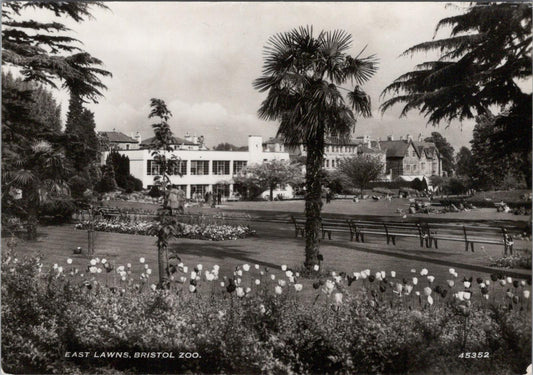 Bristol Postcard: East Lawns, Bristol Zoo Gardens Clifton 1950s  RR15570