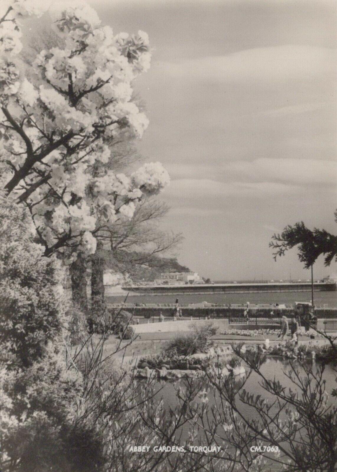 Devon Postcard - Abbey Gardens, Torquay   RRR421