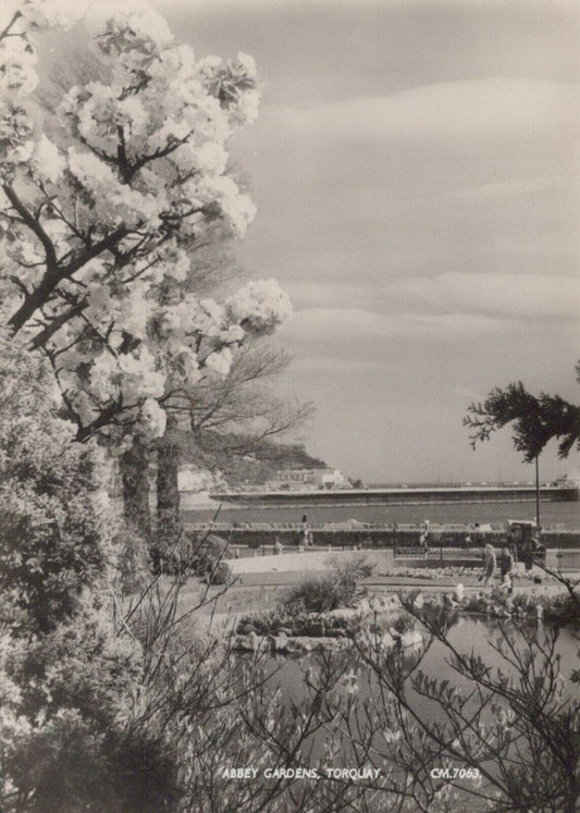 Devon Postcard - Abbey Gardens, Torquay   RRR421