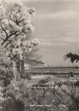 Load image into Gallery viewer, Devon Postcard - Abbey Gardens, Torquay   RRR421
