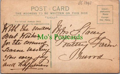 Dorset Postcard - Sherborne Pageant  DC2643
