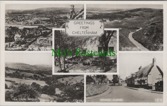 Gloucestershire Postcard - Greetings From Cheltenham  DC715
