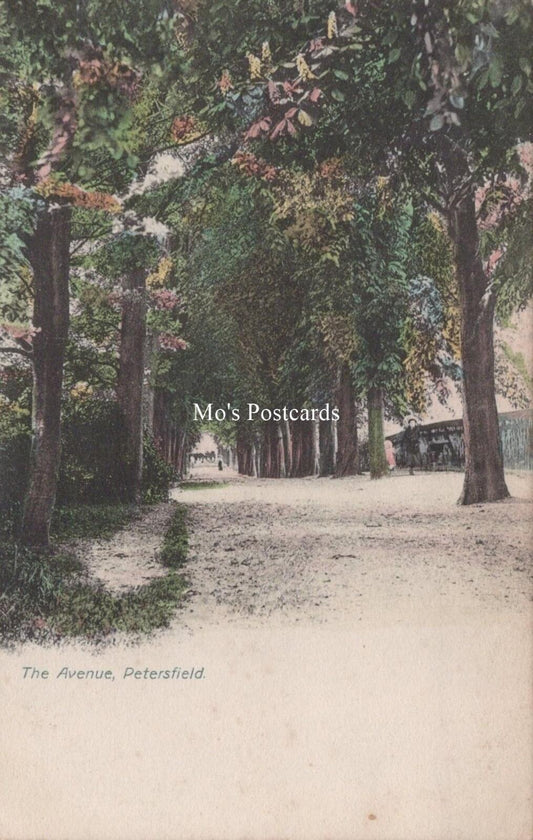 Hampshire Postcard: The Avenue, Petersfield  RS40579