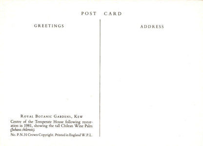 London Postcard - Temperate House, Royal Botanic Gardens, Kew    RRR276