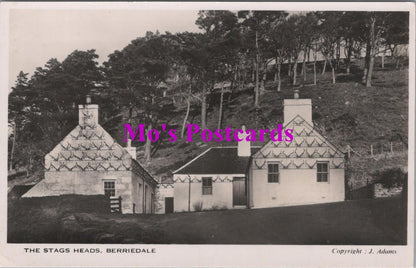 Scotland Postcard - Berriedale, The Stags Heads   HM199