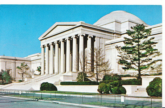 America Postcard - National Gallery of Art, Washington D.C.   SL331