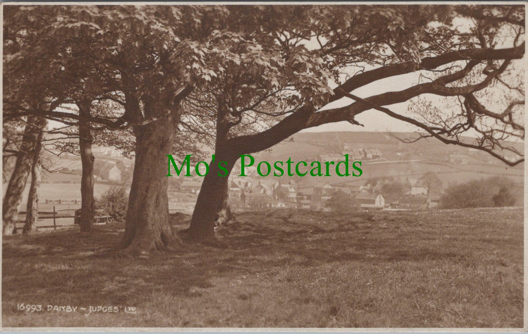 Yorkshire Postcard - Danby Village View   DC1255