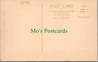 Northamptonshire Postcard - Kettering, Warkton Meadows   DC1263