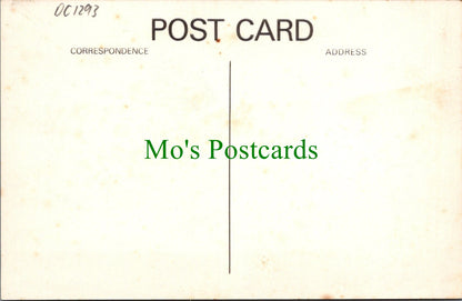 Wales Postcard - Dolgellau and Cader Idris  DC1293