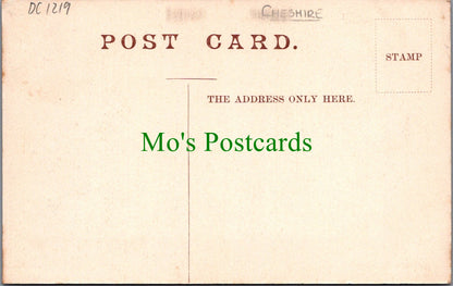 Cheshire Postcard - Cholmondeley, The White Gates DC1219