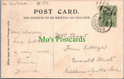 Co Durham Postcard - Raby Castle   DC1221