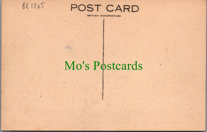 Scotland Postcard - Blair Castle, Perthshire  DC1245