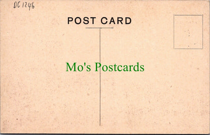 Northumberland Postcard - Bamburgh, Grace Darling's Memorial   DC1246