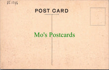 Load image into Gallery viewer, Northumberland Postcard - Bamburgh, Grace Darling&#39;s Memorial   DC1246
