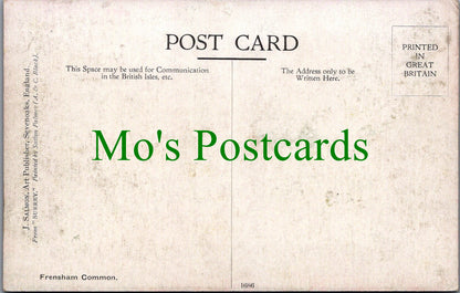 Surrey Postcard - Frensham Common, Artist Sutton Palmer SW11825
