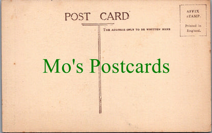 London Postcard - The Albert Hall    SW11892
