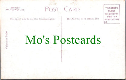 Devon Postcard - River Dart Steamer, Near Totnes   SW11896