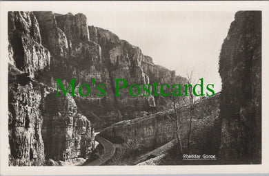 Somerset Postcard - View of Cheddar Gorge SW11899